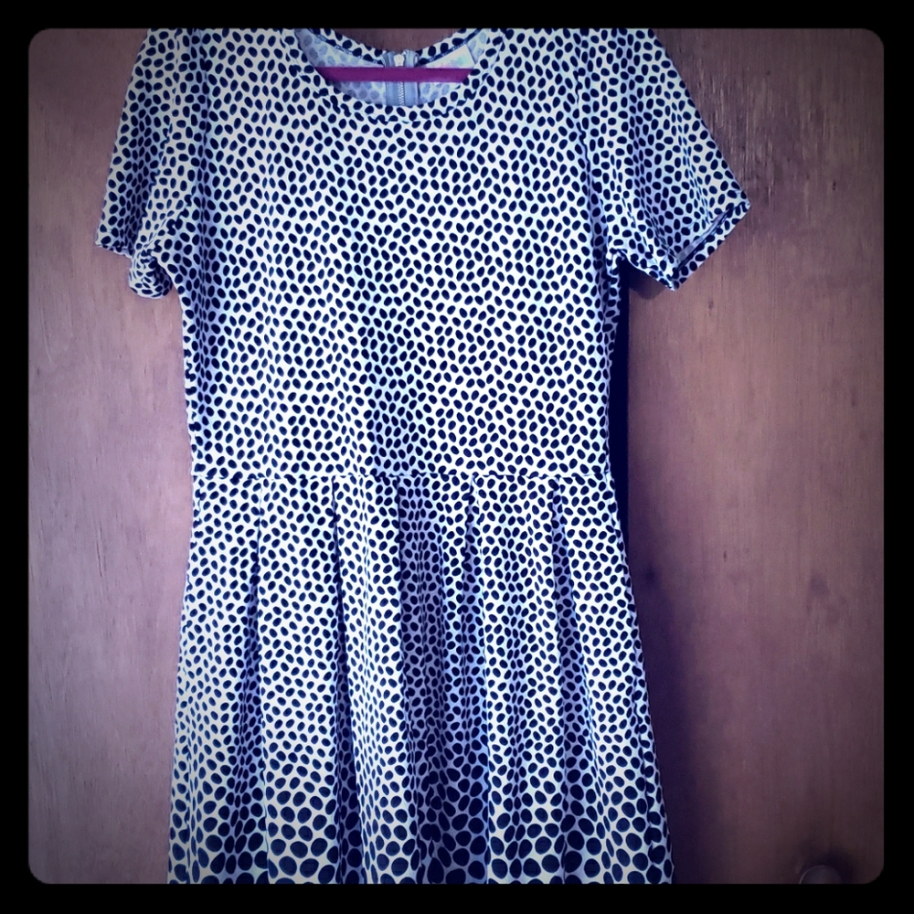 Lula Roe Amelia dress